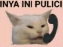pulici1 Discord emoji