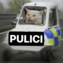 pulici2 Discord emoji
