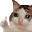 CatThumbsUp