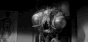 TheFly