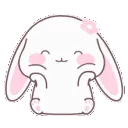 bee_zabunnycute