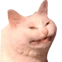 snee