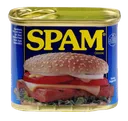 SPAM
