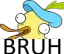 bruh bruh