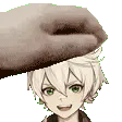 PETTHEBOUKEN
