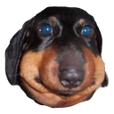 doggo Discord emoji