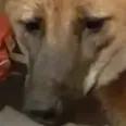 Sad Sad