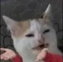 WTaf2