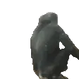 MonkiFlip