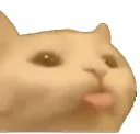 fuckyougloyd