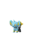 Shinx