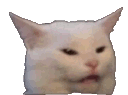 CatWTF Discord emoji