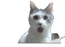 aaa Discord emoji