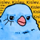 annoyedbirb