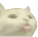 fuckyouswift fuckyouswift