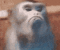 pffft Discord emoji