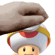 _PAT_TOAD