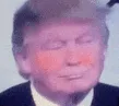 trump_gif_blush