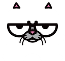 misterkun