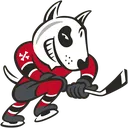 NiagraIceDogs