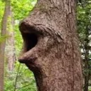 loggers loggers