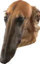 kuben2