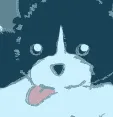 DiscoOreo_ama