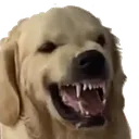grins