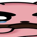 widesmad2 widesmad2