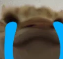 cricot