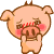 x_pig1