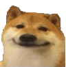 tgk_doggosmile Discord emoji
