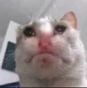 SadCat