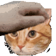 emoji_105
