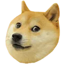 doge