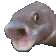 pogfish