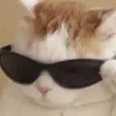 sunglassescat Discord Emoji