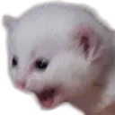 reeee