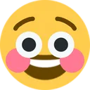 FlushedJoy FlushedJoy
