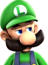 luigibruh luigibruh