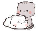 cute_cats_patting Discord emoji
