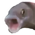 Fishpog fishpog Discord Emoji