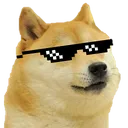 pc_dogecool Discord Emoji