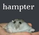 GayHampter