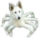 CursedDoge Discord Emoji