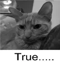 frue