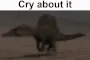 SpinoCryAboutIt SpinoCryAboutIt