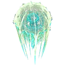 cnidaria cnidaria