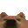 NS_dogstare