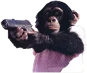 monkegun